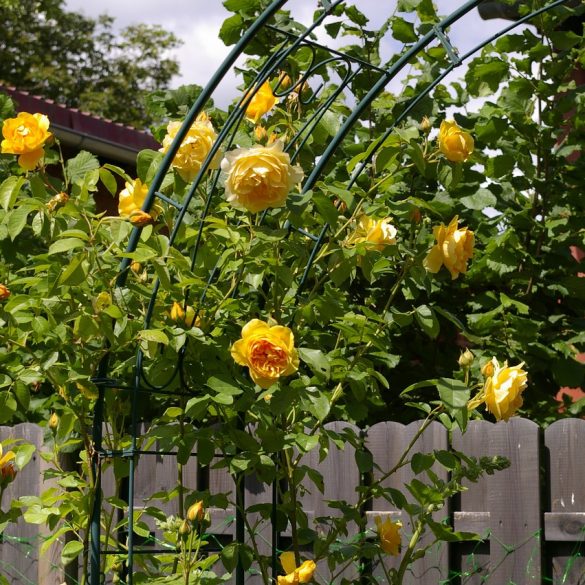 How To Make A Garden Arch