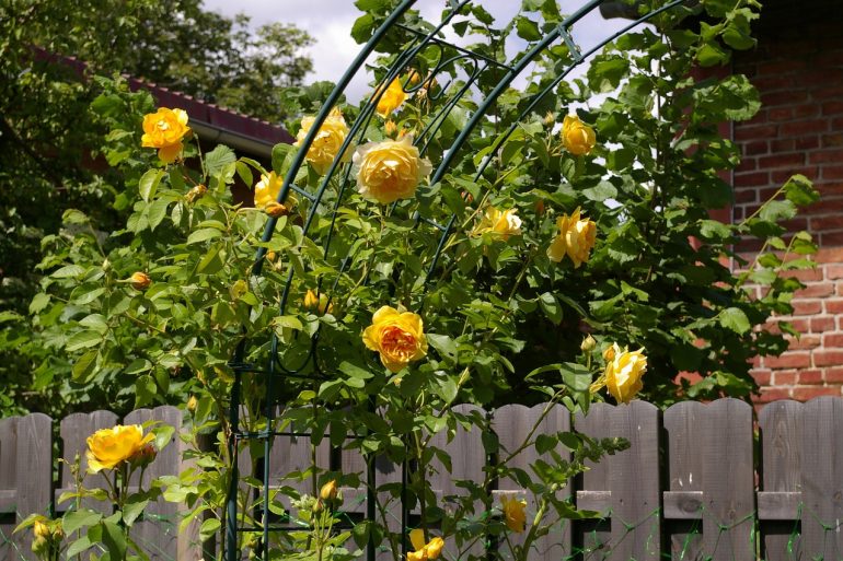 How To Make A Garden Arch
