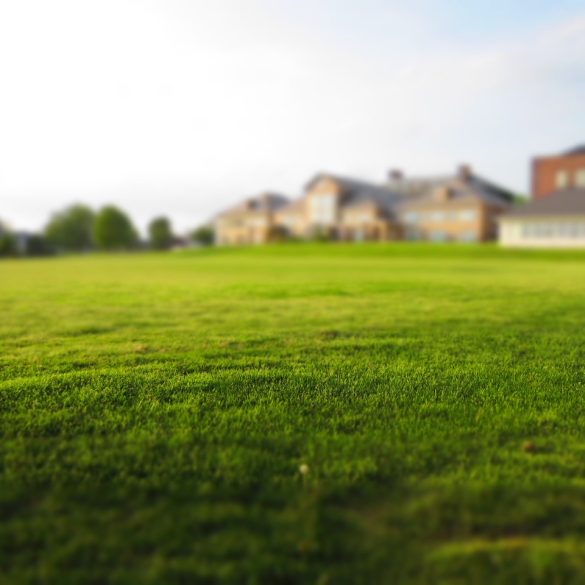 How to Flatten a Garden