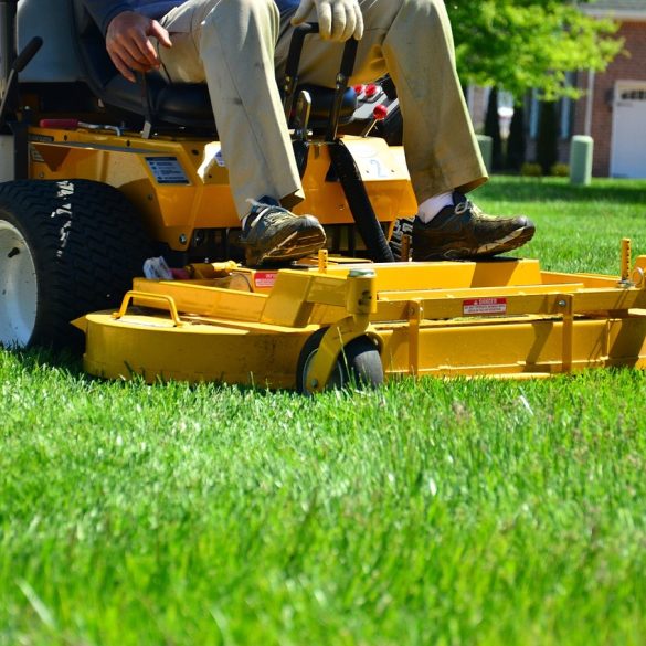 Lawn Care Rules